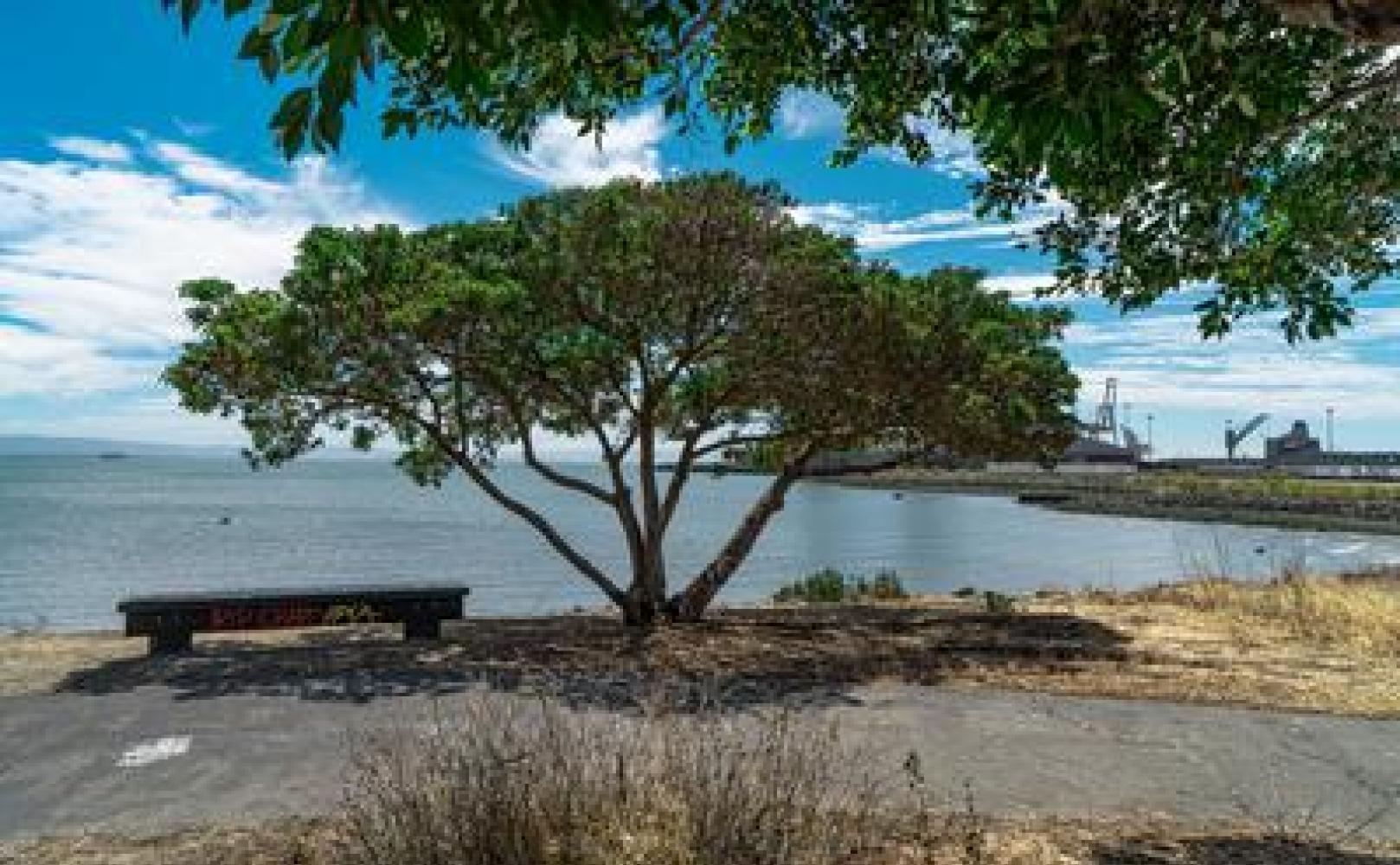 Walking path at Warm Water Cove