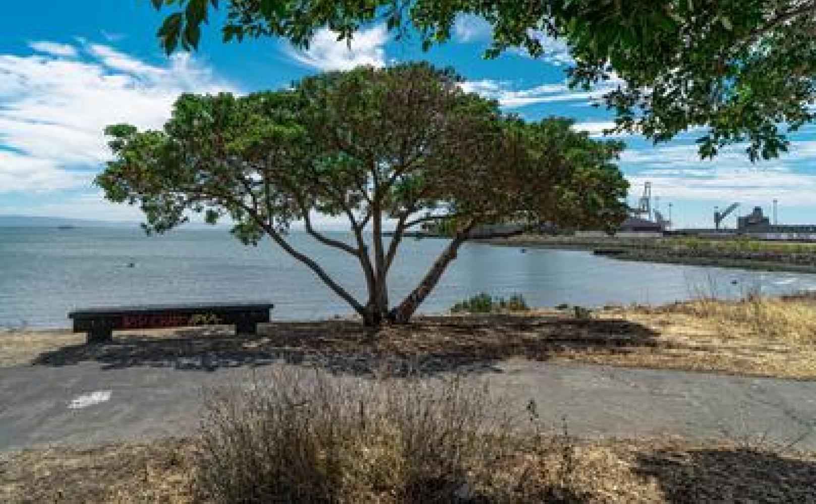 Walking path at Warm Water Cove