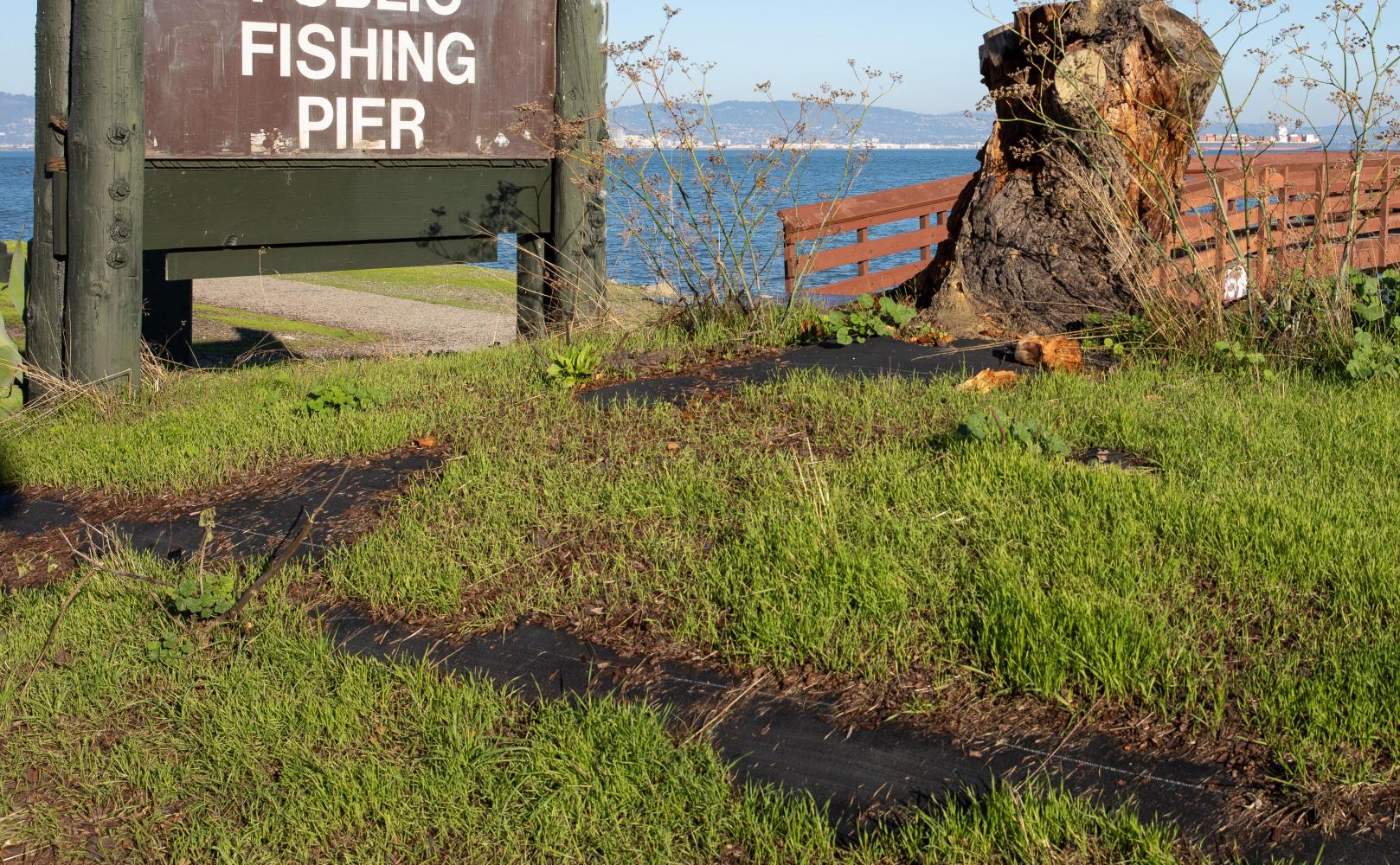 Public fishing pier at Agua Vista Park