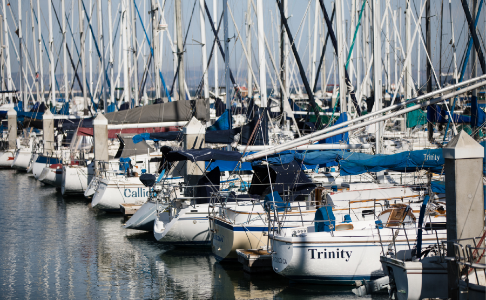 Boats in a harbor