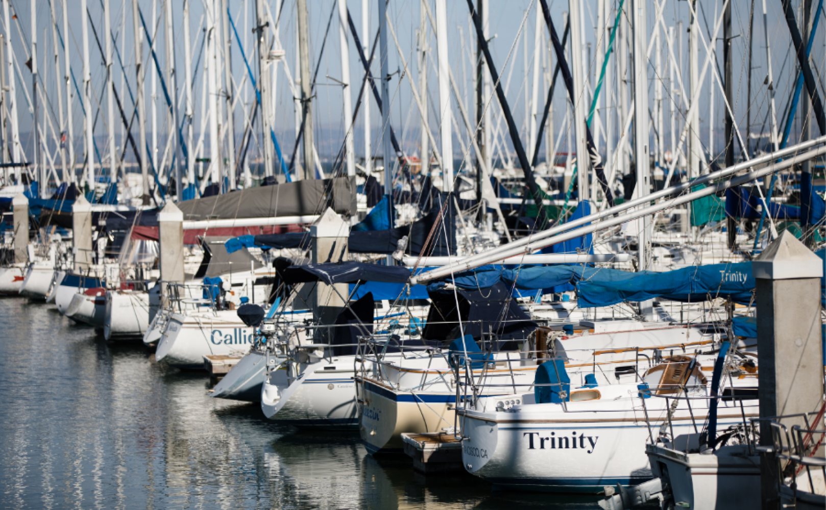 Boats in a harbor