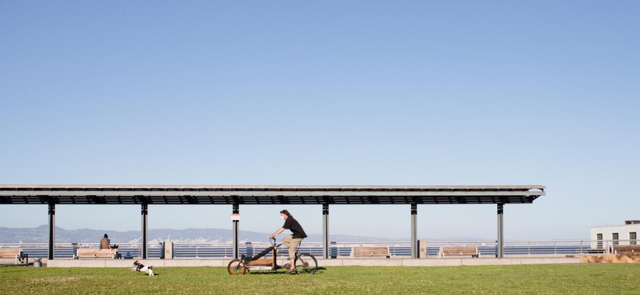 Brannan Street Park lawn