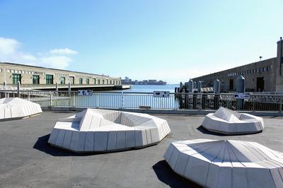 Barnacles at Piers 9 and 15