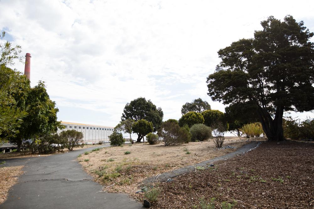 Trees and walking paths overlook the Bay at Warm Water Cove