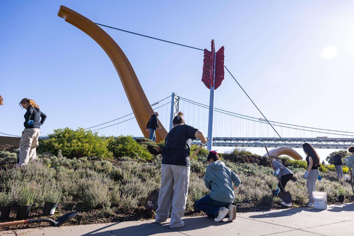 Volunteers At Rincon Park Cleaning 