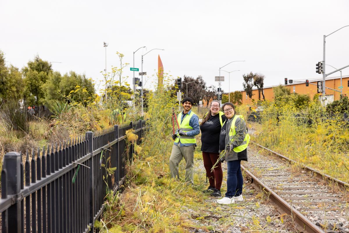 People clearing weeds along a fence line.