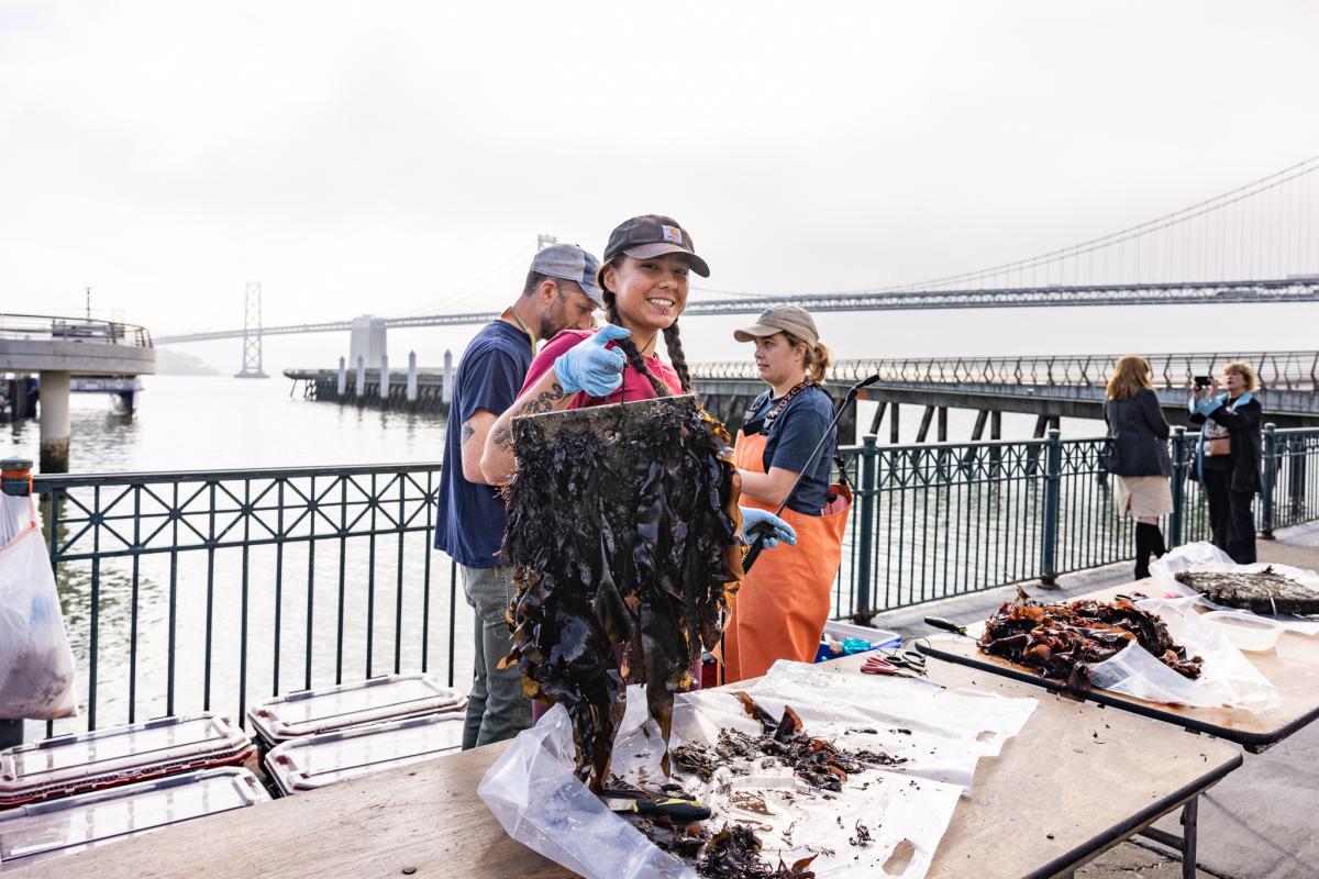 Living Seawall Pilot Tile