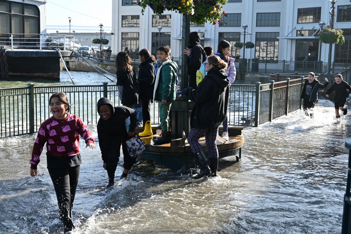SFUSD students wade through water during a king tides walk at Pier 3.