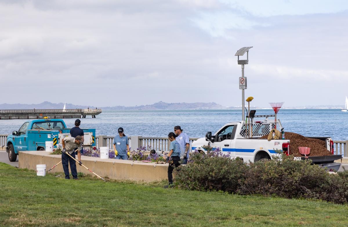 Port gardeners tend to the grass and shrubs around Rincon Park.