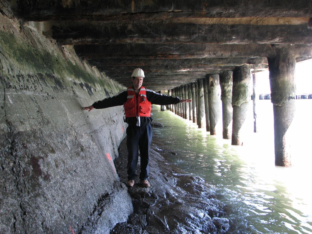 Man in orange vest and hard hat stands underneath a pier, with pilings and seawall visible.&nbsp;&nbsp;