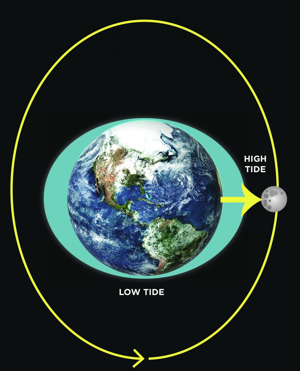 Diagram of the moon’s gravity and tides on Earth. An arrow labeled high tide points from Earth to the&nbsp;moon at the point in the moon’s orbit where it is&nbsp;closest&nbsp;to&nbsp;Earth.&nbsp;