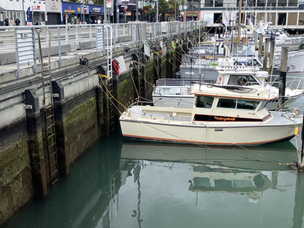 Low&nbsp;tide&nbsp;at&nbsp;Pier&nbsp;47,&nbsp;pilings&nbsp;visible&nbsp;above&nbsp;water.&nbsp;