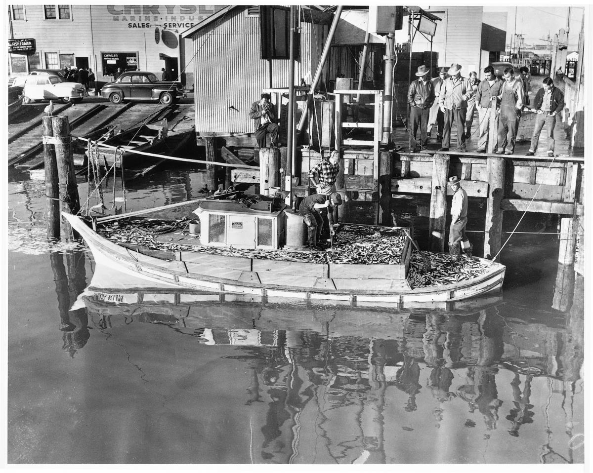 Historic&nbsp;image&nbsp;of men standing&nbsp;around&nbsp;a fishing boat loaded with&nbsp;herring&nbsp;in&nbsp;the&nbsp;inner&nbsp;harbor., circa 1953&nbsp;
