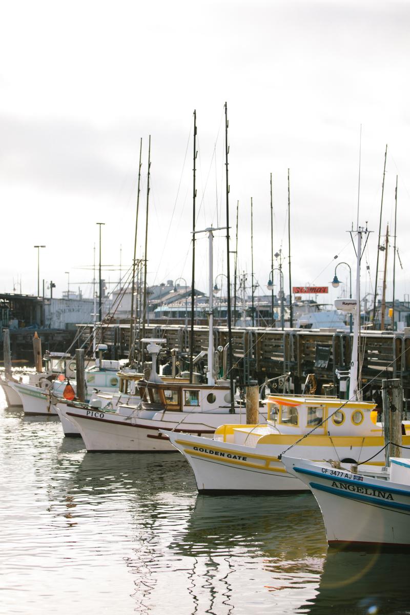 Monterey&nbsp;boats&nbsp;in&nbsp;the&nbsp;inner&nbsp;harbor.