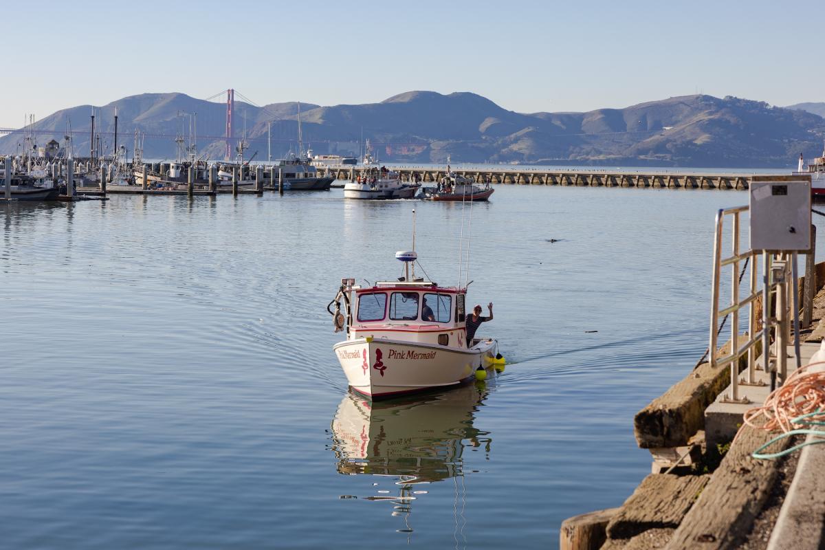 A woman waves from the Pink Mermaid boat, with Golden Gate Bridge and Hyde Street Harbor visible in the background.