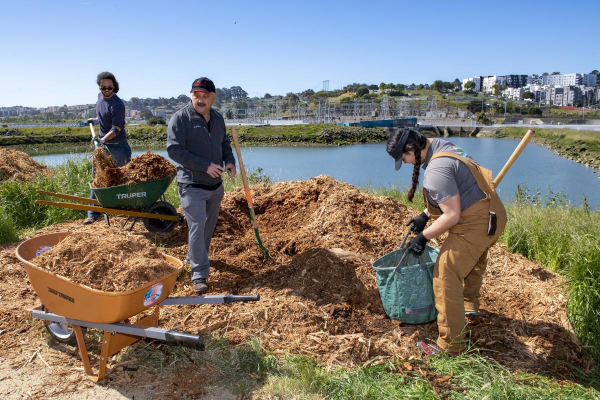 A group of volunteers shovels mulch in front of a waterway. 