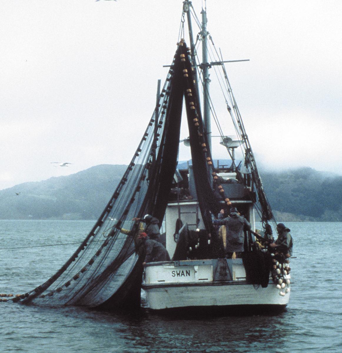 Boat with nets.