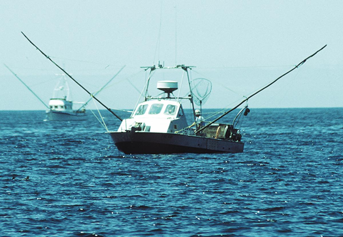 Boat&nbsp;with&nbsp;poles.