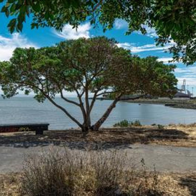 Walking path at Warm Water Cove