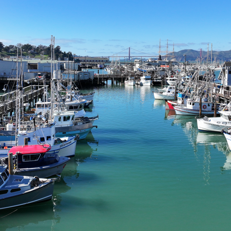 Fisherman's Wharf lagoon with colorful fishing boats and a view of Golden Gate Bridge
