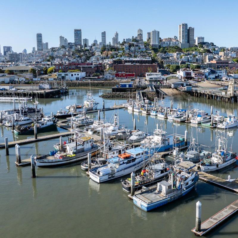 Fishing boats at Hyde Street Harbor