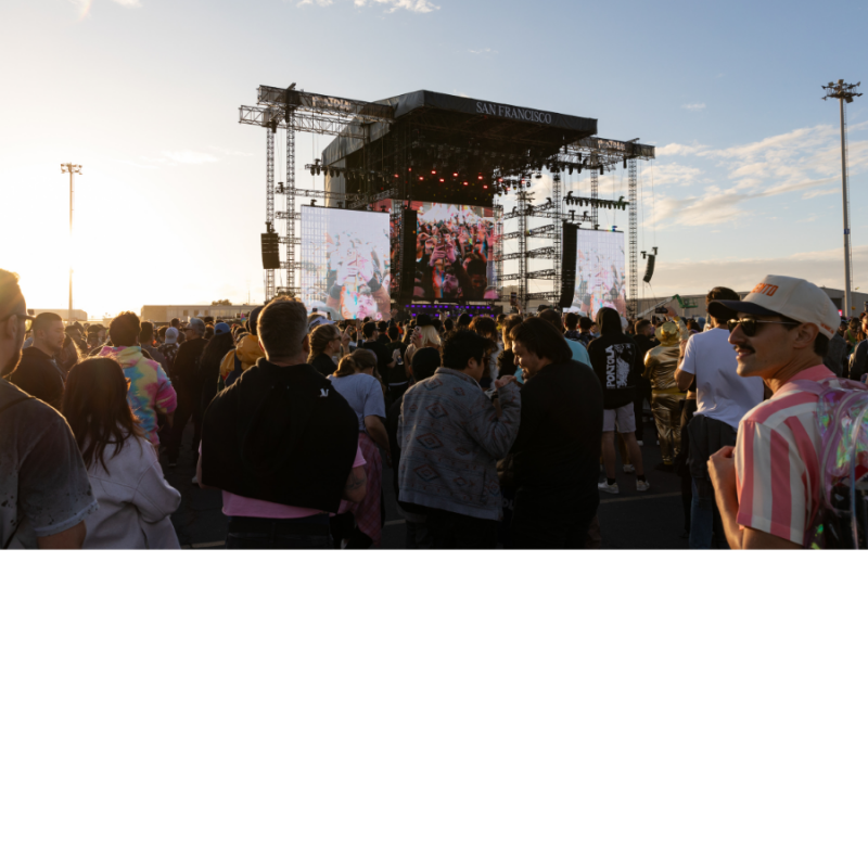 People at an outdoor concert