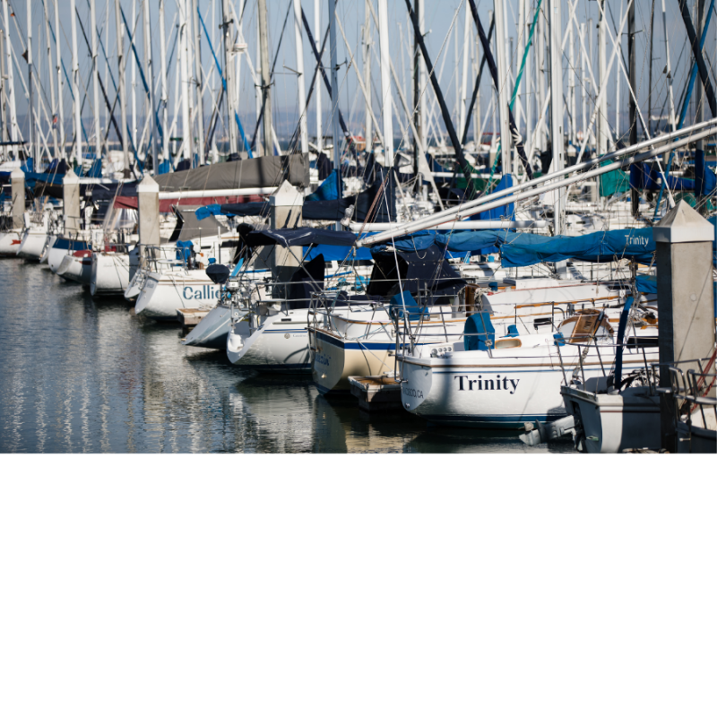 Boats in a harbor